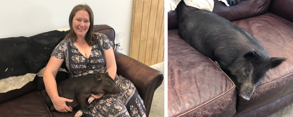 Woman sitting on couch with pig on her lap