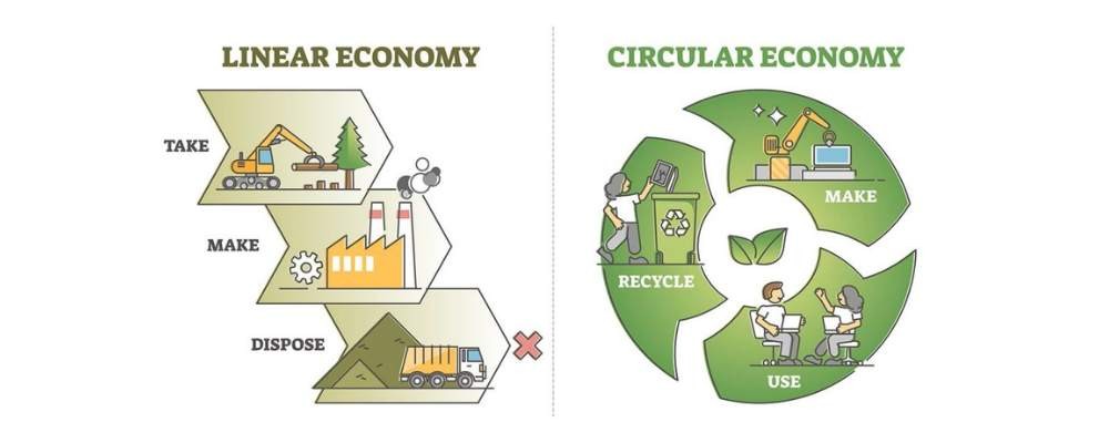 Infographic from Auckland University of Linear and circular economy