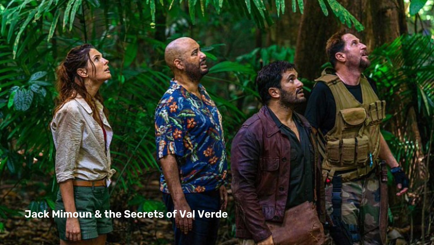 Four people in jungle looking up