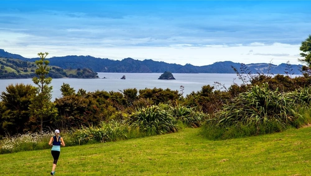 Whitianga Run Fest: A Running and Walking Festival in the Stunning Coromandel Region