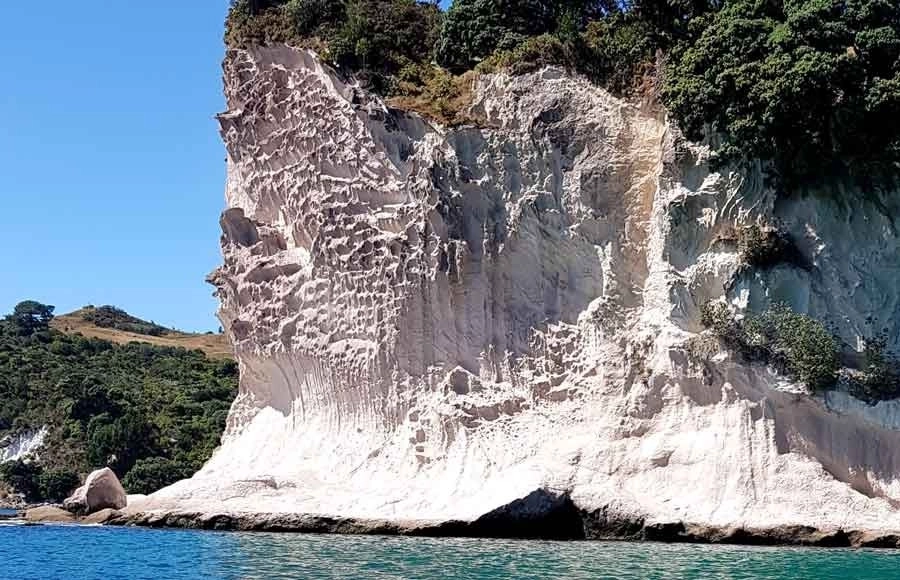 Shakespeares Cliff located at the  Mercury Bay