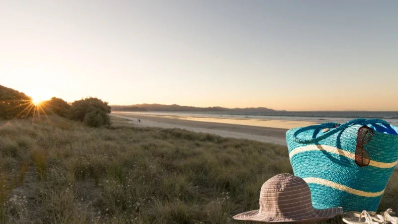 Matarangi Summer Festival 2025/26 Programme Jam-Packed With Holiday Fun