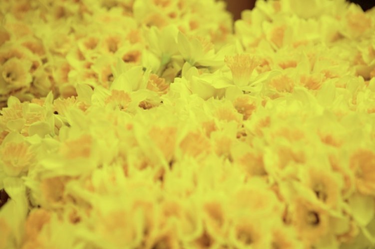 Mercury Bay Cancer Support Group for locals in Whitianga and the wider Mercury Bay