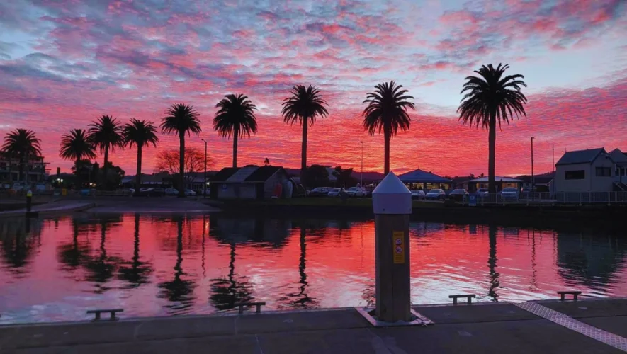 What is there to do in Whitianga? What is there to do in Whitianga?