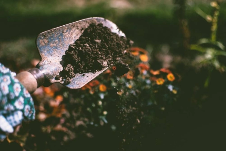 Dirt falling off garden trowel