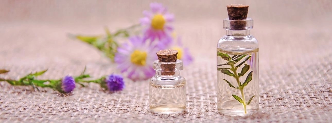 Flowers in jars Flowers in jars
