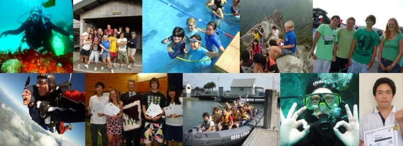 Mercury Bay Area School Montage