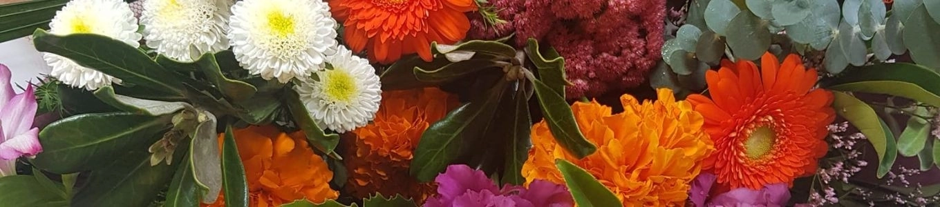 The Gardiner&#039;s Flower Shed - Whitianga Florist