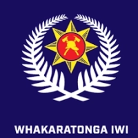 NZ Fire Logo