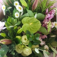 The Gardiner&#039;s Flower Shed - Whitianga Florist