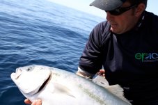 Release with Epic Adventures