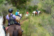 Rangihau Ranch Coroglen