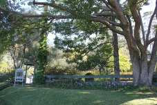 Colenso Licensed Cafe