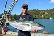 trailer boat tournament fishing competition Whitianga