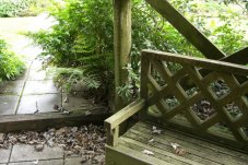 Colenso Cafe Wedding Venue Whitianga