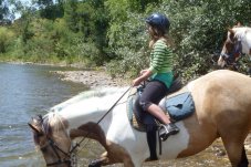 Rangihau Ranch Coroglen