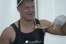 Whitianga Scallop Festival 2014