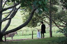 So many photo opportunities