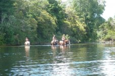 Rangihau Ranch Coroglen