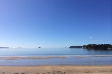 Stunning Whitianga