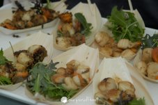 Whitianga Scallop Festival 2014