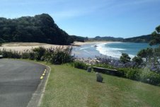 Tours of the Mercury Bay Scenic Coastline