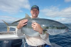 Kingi Epic Adventures