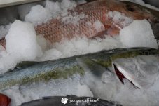 Whitianga Scallop Festival 2014