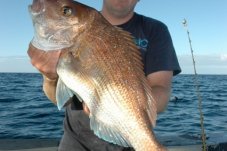 Snapper Epic Adventures