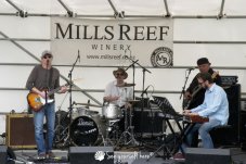 Whitianga Scallop Festival 2014