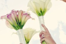 Dmitri Kotelevski Wedding Photography