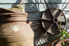 Rangihau Ranch Coroglen