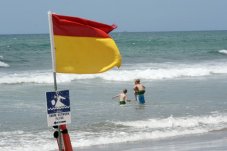 Hotwater beach flags near whitianga