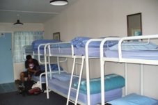 Bunk beds on the beach backpackers Whitianga