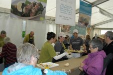 Whitianga Scallop Festival 2014