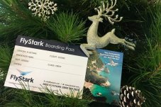 Special FlyStark boarding pass