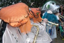 Whitianga Scallop Festival 2014