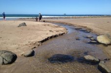 Hot Water Beach tours