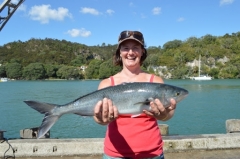 fishing competition trailer boat tournament in Whitianga
