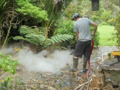 Steamteam - Chemical Free Weed Control & Property Cleaning