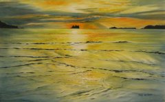 Whitianga Art Group Summer Exhibition