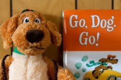 Wild Animal Sleepover at the Mercury Bay Library!