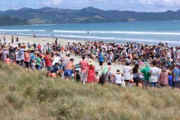 Big Dig Matarangi Beach Summer Festival Events