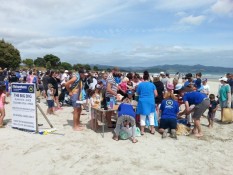Summer Festival Matarangi Beach Big Dig Event