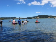 Cardboard Cup summer festival Matarangi Beach