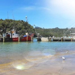 Whitianga