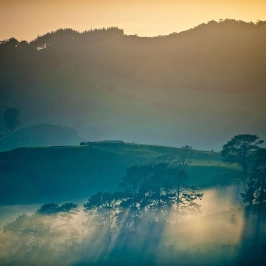 Mist over Whitianga hills