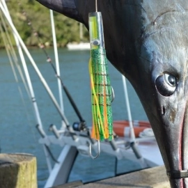 Mercury Bay Game Fishing Club big catch whitianga