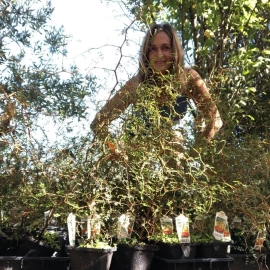 Woman smiling standing behind Kowhai trees