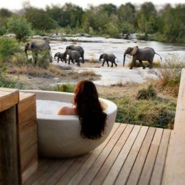 Woman in bath with Elephants